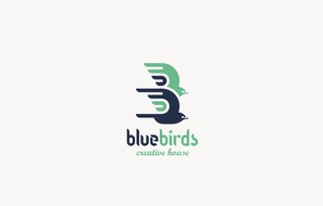 Blue Birds creative house